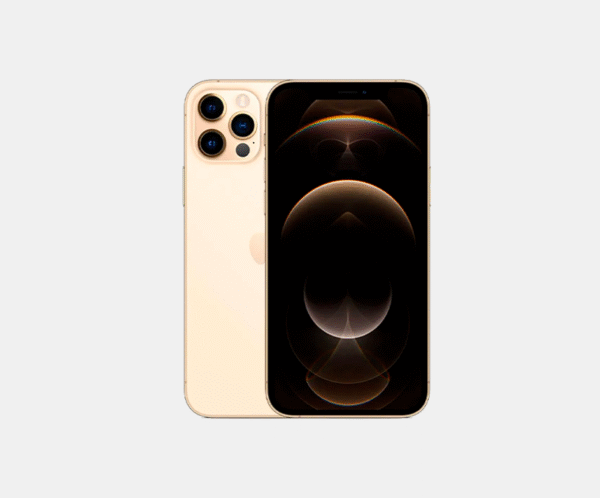 iPhone 12 Pro Max 256GB